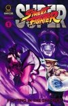 SUPER STREET FIGHTER VOL 01 FIGHTING IN THE SHADOWS SC [9781772940466]