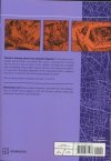 INITIAL D OMNIBUS VOL 11-12 TP [9798888771037]