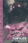 TEENAGE MUTANT NINJA TURTLES THE IDW COLLECTION VOL 10 HC [9781684055906]