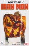 TONY STARK IRON MAN VOL 02 STARK REALITIES TP [9781302912734] **OFERTA SPECJALNA**
