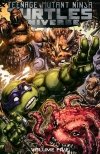TEENAGE MUTANT NINJA TURTLES UNIVERSE VOL 05 THE COMING DOOM TP [9781684053629]