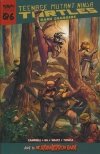 TEENAGE MUTANT NINJA TURTLES REBORN VOL 06 GAME CHANGERS TP [9781684059645]