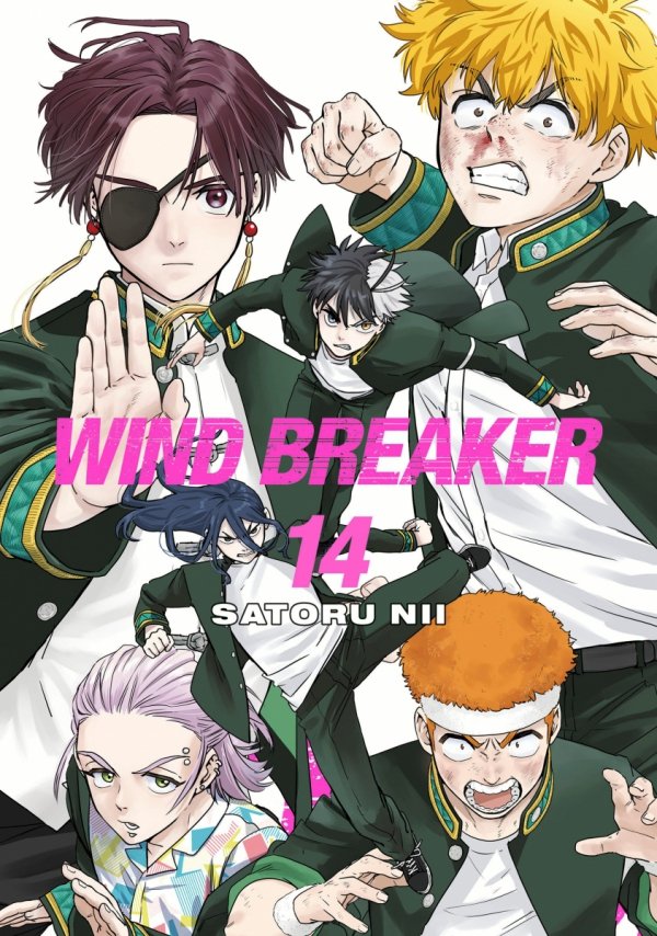 WIND BREAKER VOL 14 TP [9781646519613]