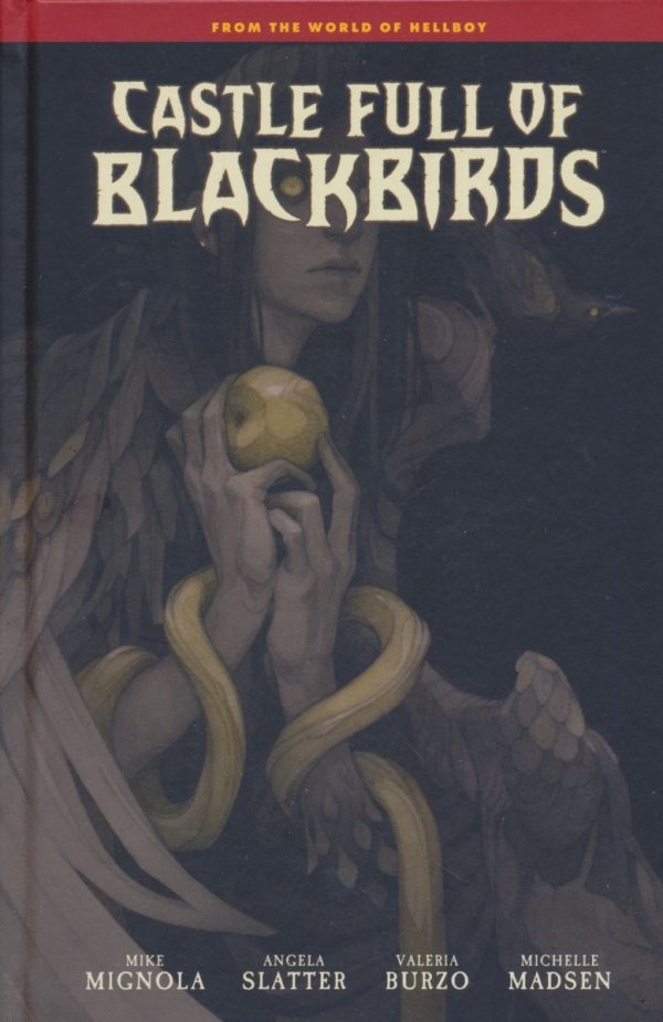 CASTLE FULL OF BLACKBIRDS HC [9781506732787]