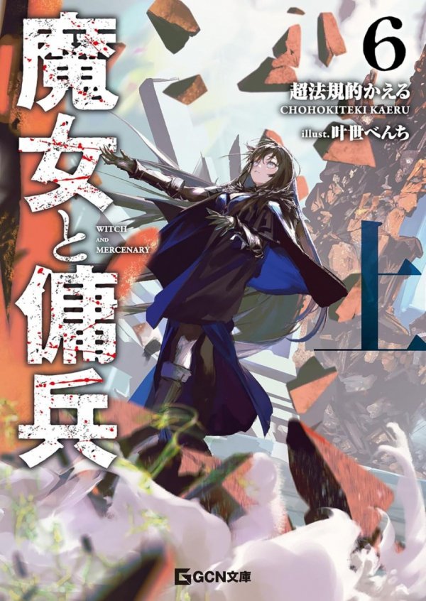 WITCH AND MERCENARY LIGHT NOVEL VOL 06 PART 1 TP [9798897654024]