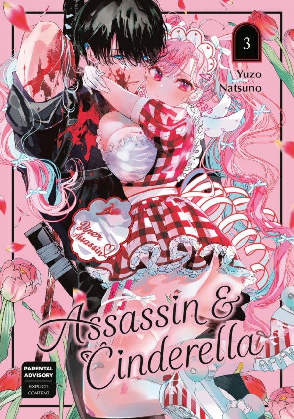 ASSASSIN AND CINDERELLA VOL 03 TP [9781646093519]