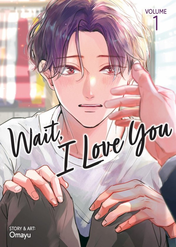 WAIT I LOVE YOU VOL 01 TP [9798895616789]