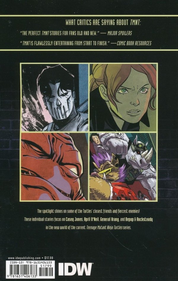 TEENAGE MUTANT NINJA TURTLES ALLIES AND ENEMIES TP [9781631406133]