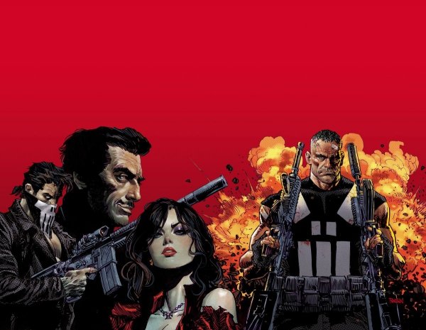MARVEL KNIGHTS PUNISHER TP [9781302914301]