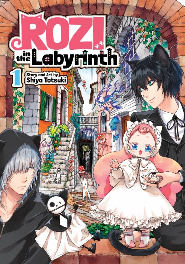ROZI IN THE LABYRINTH VOL 01 TP [9781645059431]