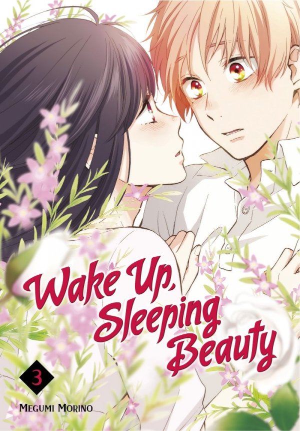 WAKE UP SLEEPING BEAUTY VOL 03 TP [9781632365897]