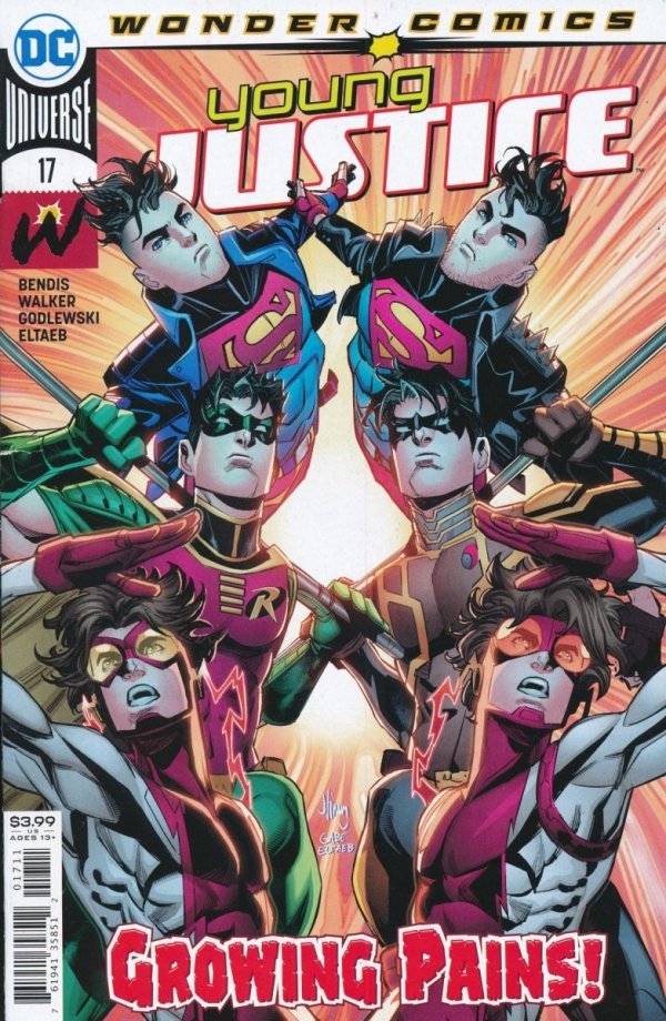YOUNG JUSTICE [35851] #17 CVR A [76194135851201711]