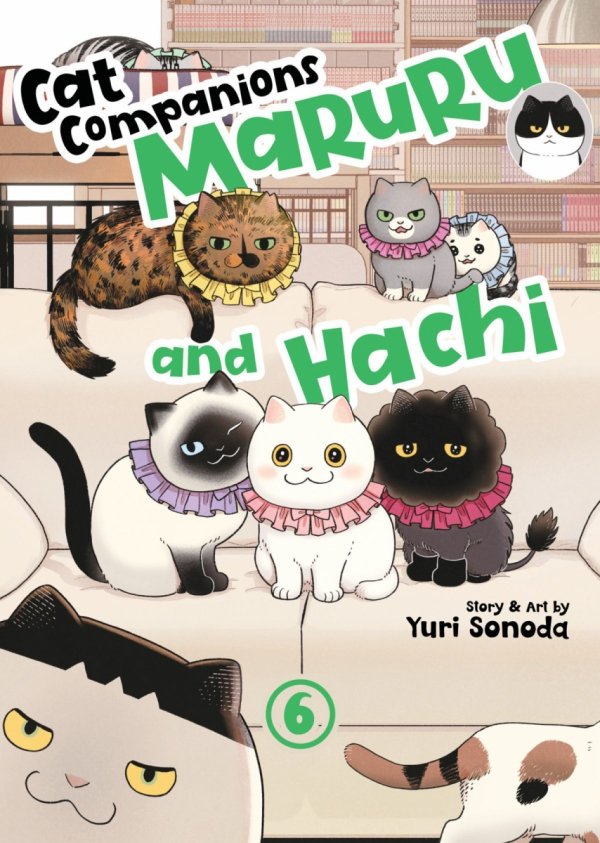 CAT COMPANIONS MARURU AND HACHI VOL 06 TP [9798895615386]
