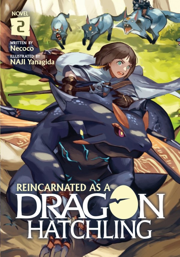 REINCARNATED AS A DRAGON HATCHLING LIGHT NOVEL VOL 02 TP [9781648276095]