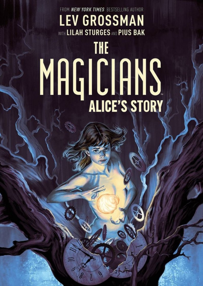 MAGICIANS ALICE STORY SC [9781684156337]
