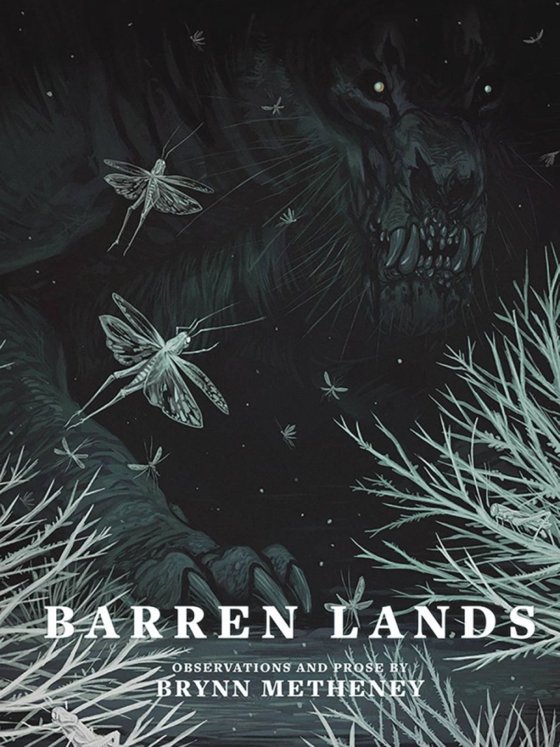 BARREN LANDS BY BRYNN METHENEY HC [9781640410770]