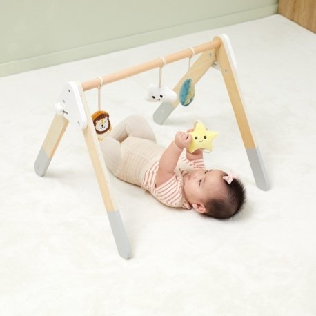 Pałąk Stojak dla Niemowląt Baby Gym z zabawkami Viga PolarB 