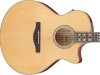 Gitara elektro-akustyczna IBANEZ AE170-NTR