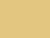 Lakier celulozowy DARTFORDS (TV Yellow)