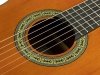Gitara klasyczna 4/4 SALVADOR CORTEZ Nova C