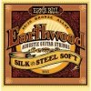 Struny ERNIE BALL 2043 Silk & Steel (13-56)