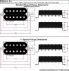 DIMARZIO DP103FBK PAF 36th Ann F-spaced (BK, neck)