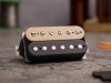 TONERIDER Panama F-Spaced (ZB, bridge)