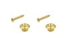 Zaczepy paska HOSCO HK-13GS (GD)