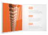 Struny D'ADDARIO XSA Phosphor Bronze (11-52)