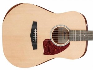 Gitara akustyczna IBANEZ PF15JR-OPN (pokrowiec)