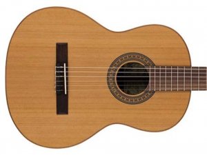 Gitara klasyczna 4/4 SALVADOR CORTEZ Lola C
