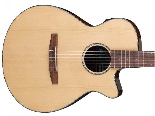 Gitara elektro-klasyczna IBANEZ AEG50N-NT
