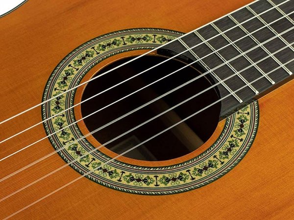 Gitara klasyczna 4/4 SALVADOR CORTEZ Nova C
