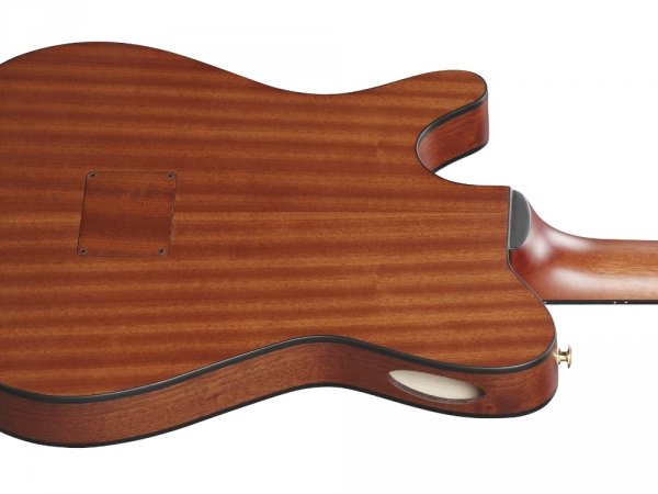 Gitara elektro-klasyczna IBANEZ FRH10N-IBF