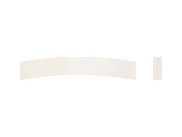 Siodełko szyjki HOSCO BN-402 42,5x6,5x3,1 (kość)