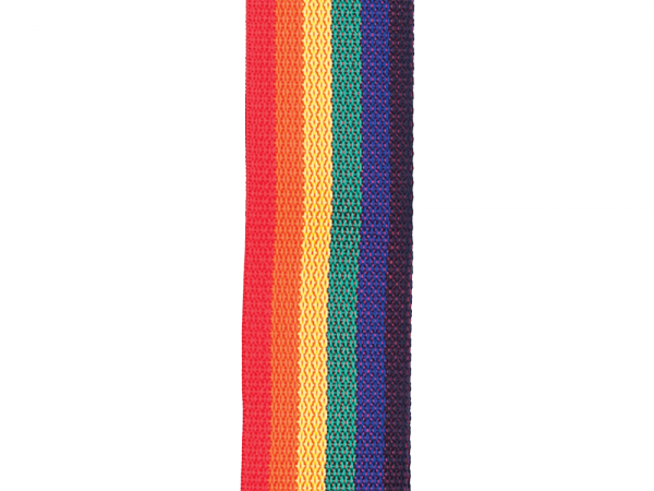 Pasek do gitary D'ADDARIO PWS111 (RB)