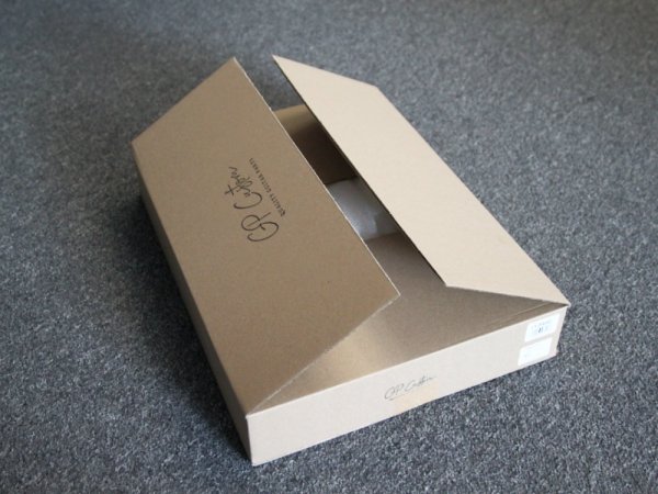 Korpus do gitary GP Custom TE-1AG (BK)