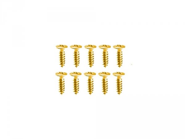 Wkręty do pickguardów VPARTS SC6-G (GD)
