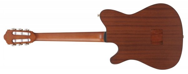 Gitara elektro-klasyczna IBANEZ FRH10N-BSF