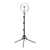 GLOW lampa pierścieniowa ring 10 bsc ze statywem 10W