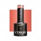 OCHO NAILS Lakier hybrydowy rainbow R04 -5 g 
