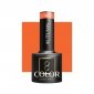 OCHO NAILS Lakier hybrydowy autumn A01 -5 g 