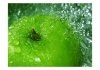 Fototapeta - Zielone jabłko