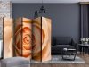 Parawan 5-częściowy - Peach-colored rose II [Room Dividers]