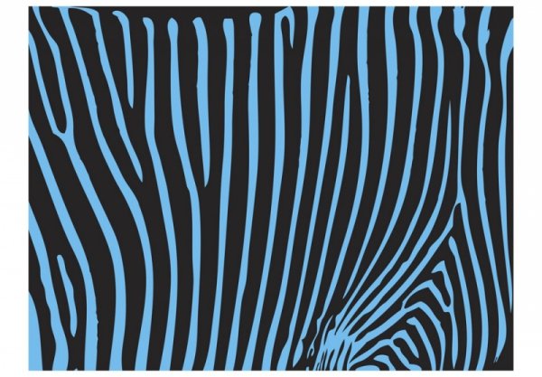 Fototapeta - Zebra pattern (turkus)