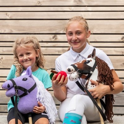 Hobby Horse Skippi - koń na kiju - Gniado-srokaty A5