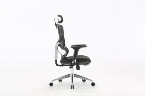 Fotel ergonomiczny ANGEL biurowy obrotowy Dakota 2.0