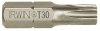 GROT TYPU TORX 1/4' 25MM 10 SZT. T30