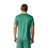Koszulka adidas Squadra 17 JSY BJ9179 zielony XXL