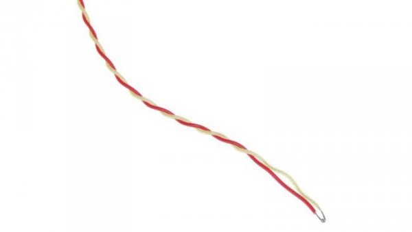 Termopara typ K do +250C 2m kabel 2m ANSI